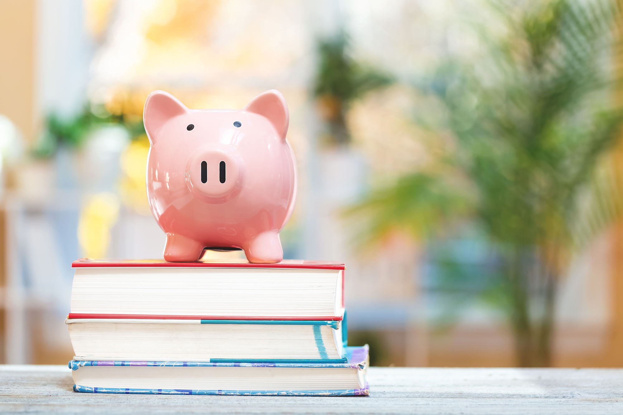 Piggy bank sitting on a stack of books
