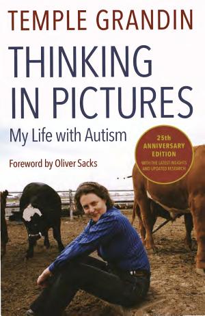 Thinking In Pictures