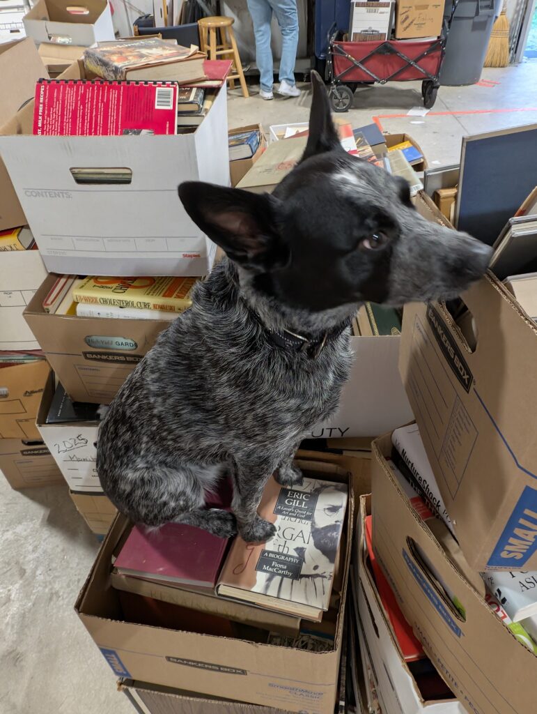 Workshop volunteers sorting books